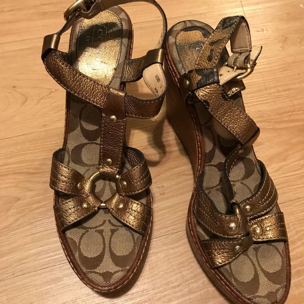 Coach Mayra Metallic Leather Wood Platform Wedges